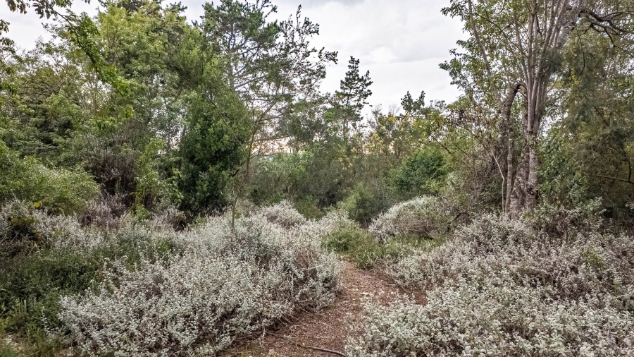 Commercial Property for Sale in Sedgefield Rural Western Cape